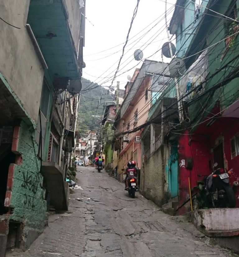 rocinhastreet-medium